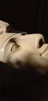 Jaw Sculpture Gesture Live Wallpaper