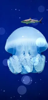 Glowing jellyfish with a shark above in a deep blue ocean background.