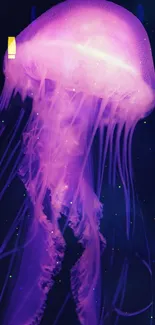 Jellyfish Bioluminescence Marine Invertebrates Live Wallpaper