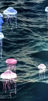 Colorful jellyfish float in a dark ocean scene, showcasing marine beauty.