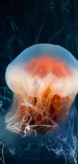 Glowing jellyfish in dark ocean background, blue and orange hues.