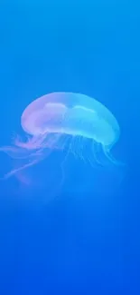 Serene blue ocean with a single jellyfish.