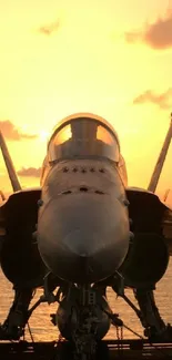 Silhouette of a fighter jet against a sunset sky over the ocean.