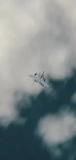 Jet flying through a cloudy sky, captured mid-air.