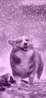 Joyful corgi on railway under magical purple rain.