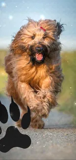 Vibrant mobile wallpaper of a joyful dog running along a grassy path.