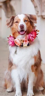 Charming dog with a colorful floral collar, sitting on a stone path.