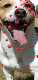 Mobile wallpaper of a happy dog with heart overlays.