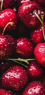 Close-up of red cherries with water droplets in a vibrant and fresh wallpaper.