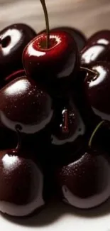 Close-up of glossy dark cherries on a plate.