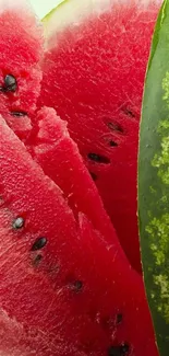 Close-up of juicy watermelon slices with vibrant red pulp and green rind.