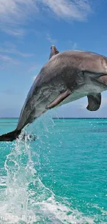 A dolphin leaps over turquoise ocean waters under a clear blue sky.