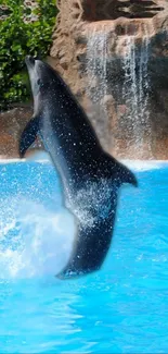 Dynamic dolphin jumping in bright blue sea wallpaper.