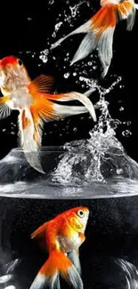 Goldfish jumping from a fishbowl with water splash on a black background.