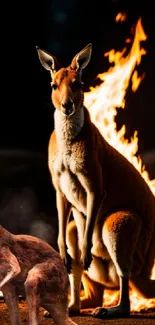 A kangaroo in front of dramatic orange flames, creating a striking scene.