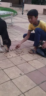 Boy kneeling as he feeds a dog outside on tiled pavement.