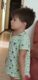 Child in a light green shirt standing indoors near a couch.