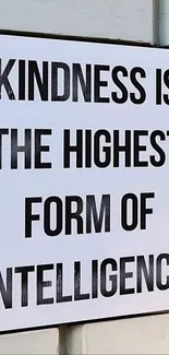 'A sign on a wall reads: Kindness is the highest form of intelligence.'