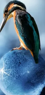 Kingfisher perched on a blue icy globe, with a serene blue background.