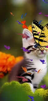 Kitten with butterfly in a colorful garden setting, vibrant and serene.