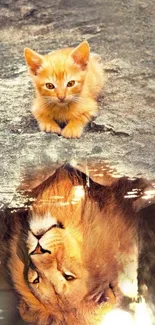 Kitten looking into water reflecting a lion.