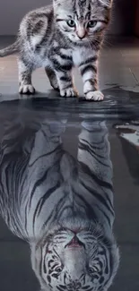 Kitten sees tiger reflection in water.