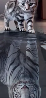 Kitten looks at its reflection, seeing a tiger instead.