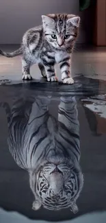 Kitten looks at tiger reflection on floor.