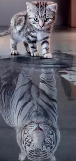 Kitten reflected as tiger in puddle, mobile wallpaper.