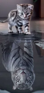 Kitten and tiger reflection on a floor.