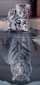 Kitten and tiger reflection mobile wallpaper.