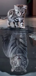 Kitten's reflection shows a tiger, creating an inspirational wallpaper.