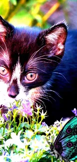 Playful kitten with a butterfly in a colorful garden wallpaper.