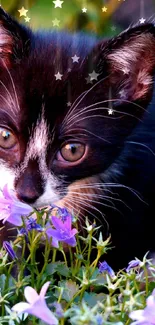 Black kitten with purple flowers and starry overlay on a phone wallpaper.