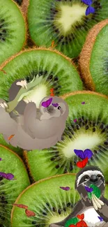 Kiwi fruit slices with sloths as mobile wallpaper