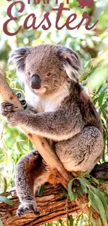 Cute koala on tree with Happy Easter message.