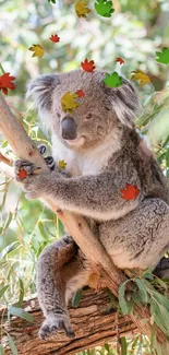 Koala perched on eucalyptus tree in vivid natural setting.