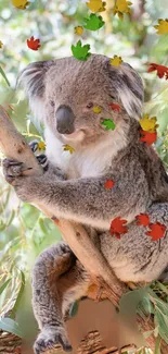 Koala perched on a branch with vibrant colored leaves.