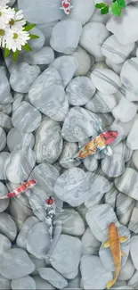 Koi fish swimming over gray stones with flowers.