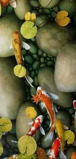 Koi fish swim among lily pads over smooth rocks.