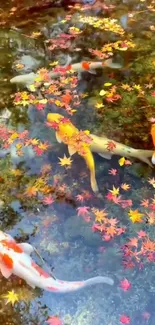 Colorful koi fish swim in a pond with autumn leaves floating.