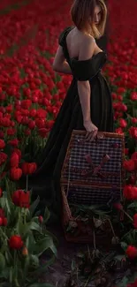 Woman in black dress in a field of vibrant red tulips.