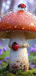 Ladybugs on a dew-covered mushroom in a fantasy forest setting.