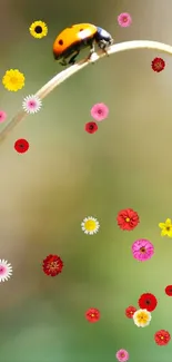 Ladybug on a flower-covered branch with vibrant blossoms.