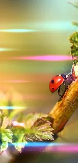 Ladybug resting on a branch surrounded by green leaves.