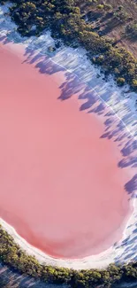 Aerial view of Lake Hillier, the famous pink lake, surrounded by lush greenery.