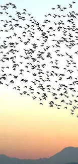 Landscape Bird Sky Live Wallpaper