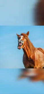 Laughing horse against a vibrant blue sky, capturing nature's humor and beauty.