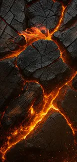 Lava cracks with glowing orange veins against charred dark textures.