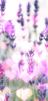 Lavender flowers with heart-shaped bokeh on a mobile wallpaper.